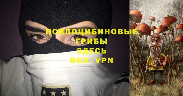 герыч Алексин