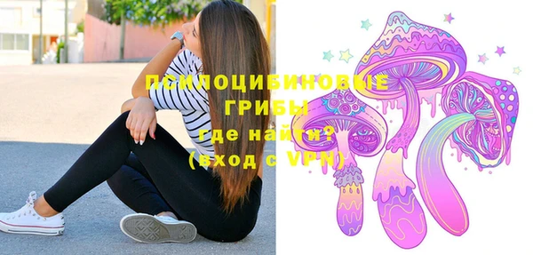 герыч Алексин